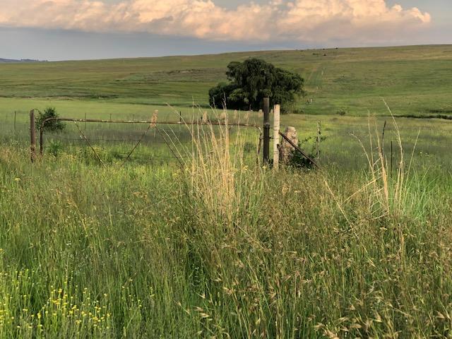 0 Bedroom Property for Sale in Bethlehem Rural Free State